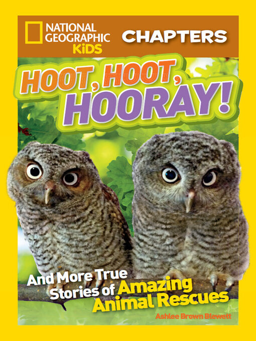Title details for Hoot, Hoot, Hooray! by Ashlee Brown Blewett - Available